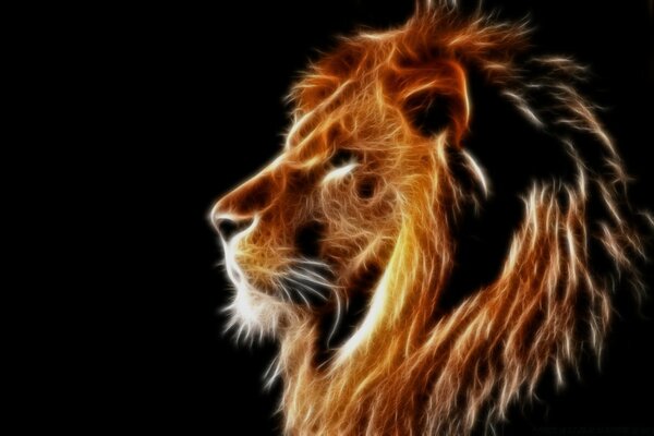 A fiery lion on a dark background