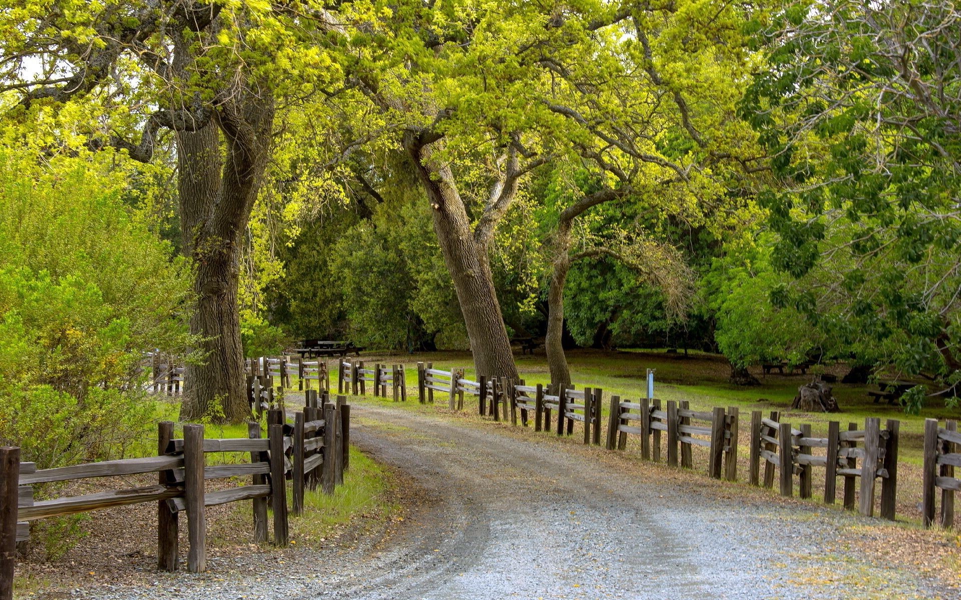 carretera madera árbol naturaleza paisaje al aire libre hoja otoño viajes verano parque rural medio ambiente escénico guía campo hierba