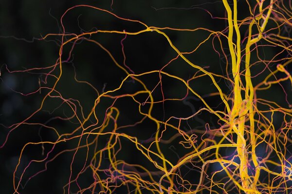 Gelbe Neuronitis auf schwarzem Hintergrund