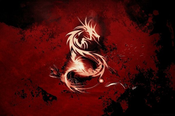 Fire dragon on a red background for wallpaper