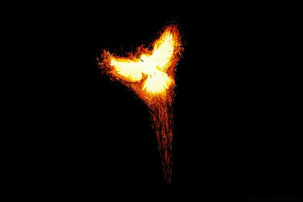 Feuervogel Phoenix auf schwarzem Hintergrund