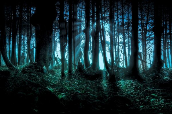 Magic light in a scary forest