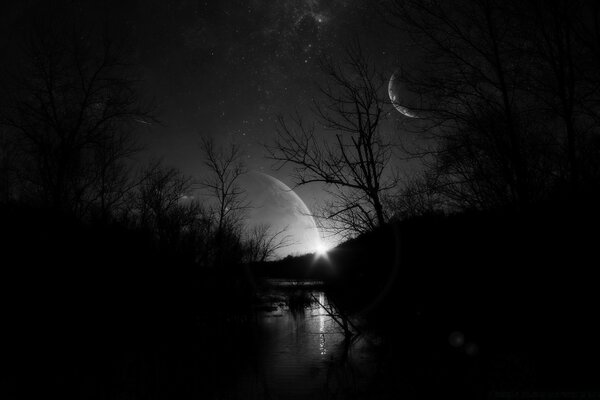 Paysage noir. Il fait nuit. Lune