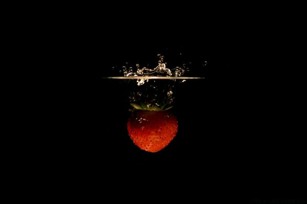 Still life of strawberries on a black background