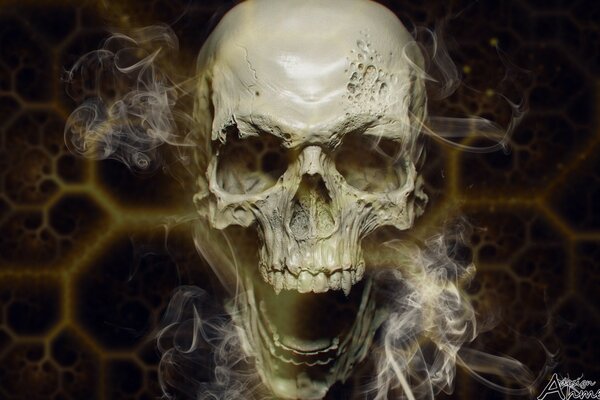 Anotomic human skull and smoke around