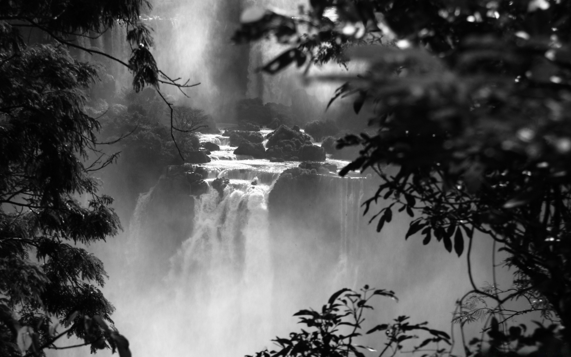 czarno-białe drewno natura krajobraz drewno mgła zewnętrzna mgła wodna monochromatyczna