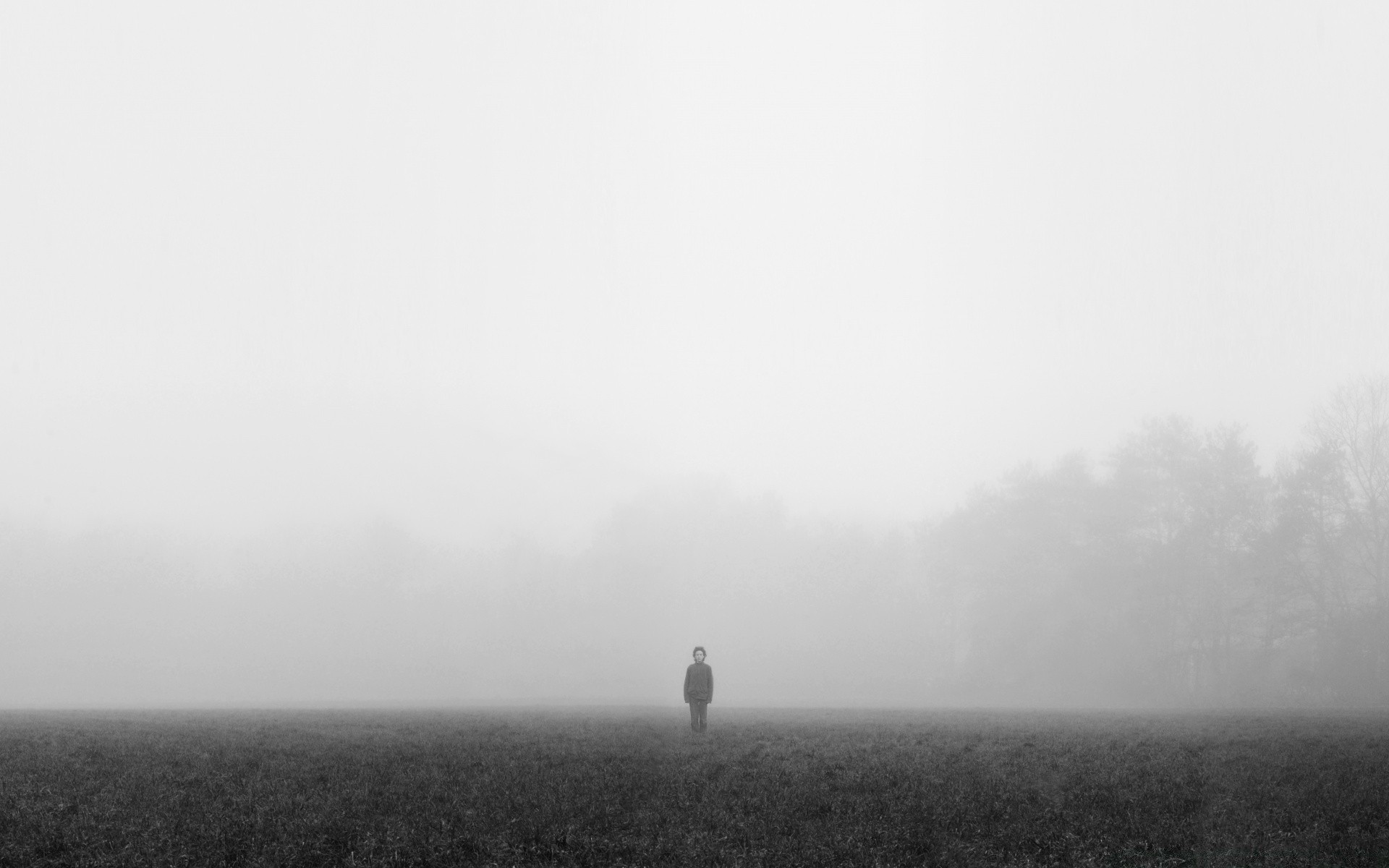 black and white fog monochrome landscape mist bird dawn cropland