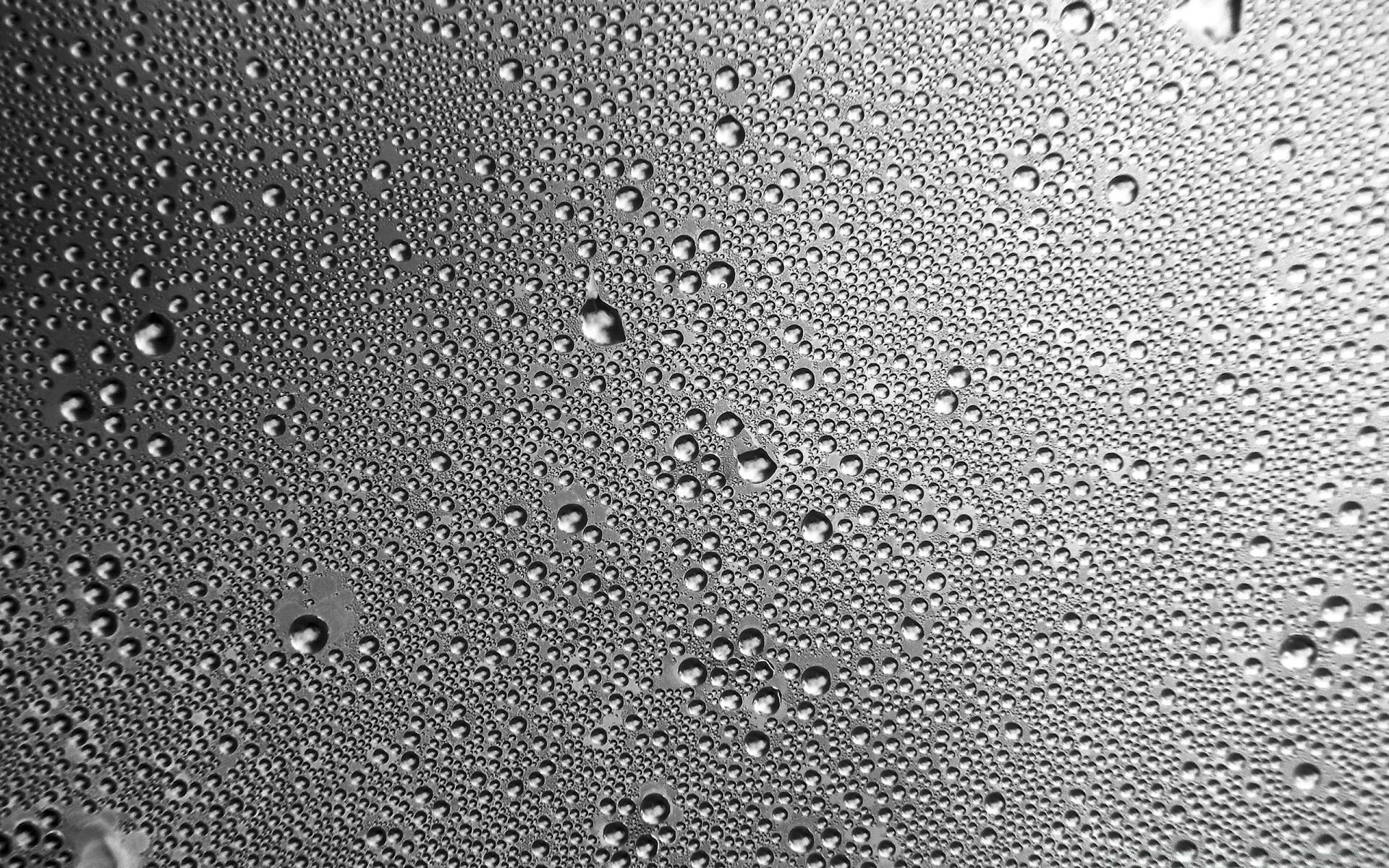 black and white rain dew wet texture desktop drop droplet pattern abstract surface bubble clean water raindrop liquid smooth fabric splash dewy