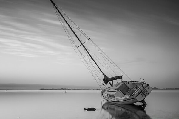 Swimming in the black and white waters of the sea