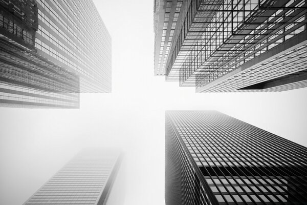 Image des immeubles de grande hauteur en noir et blanc