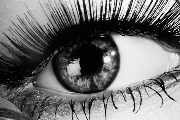 Black and white photo of the eye close-up