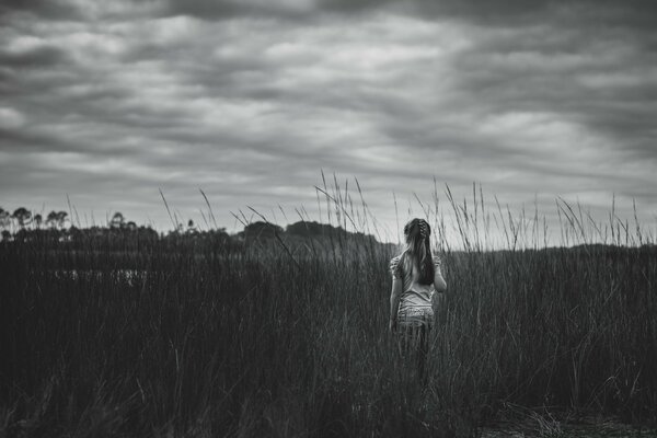 Beautiful girl in the field