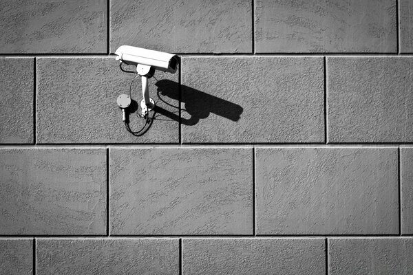 Image en noir et blanc de la caméra de vidéosurveillance