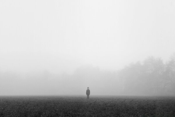 Uomo in campo con nebbia sullo sfondo