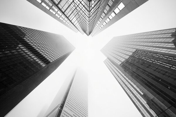 Image of high-rise buildings in black and white