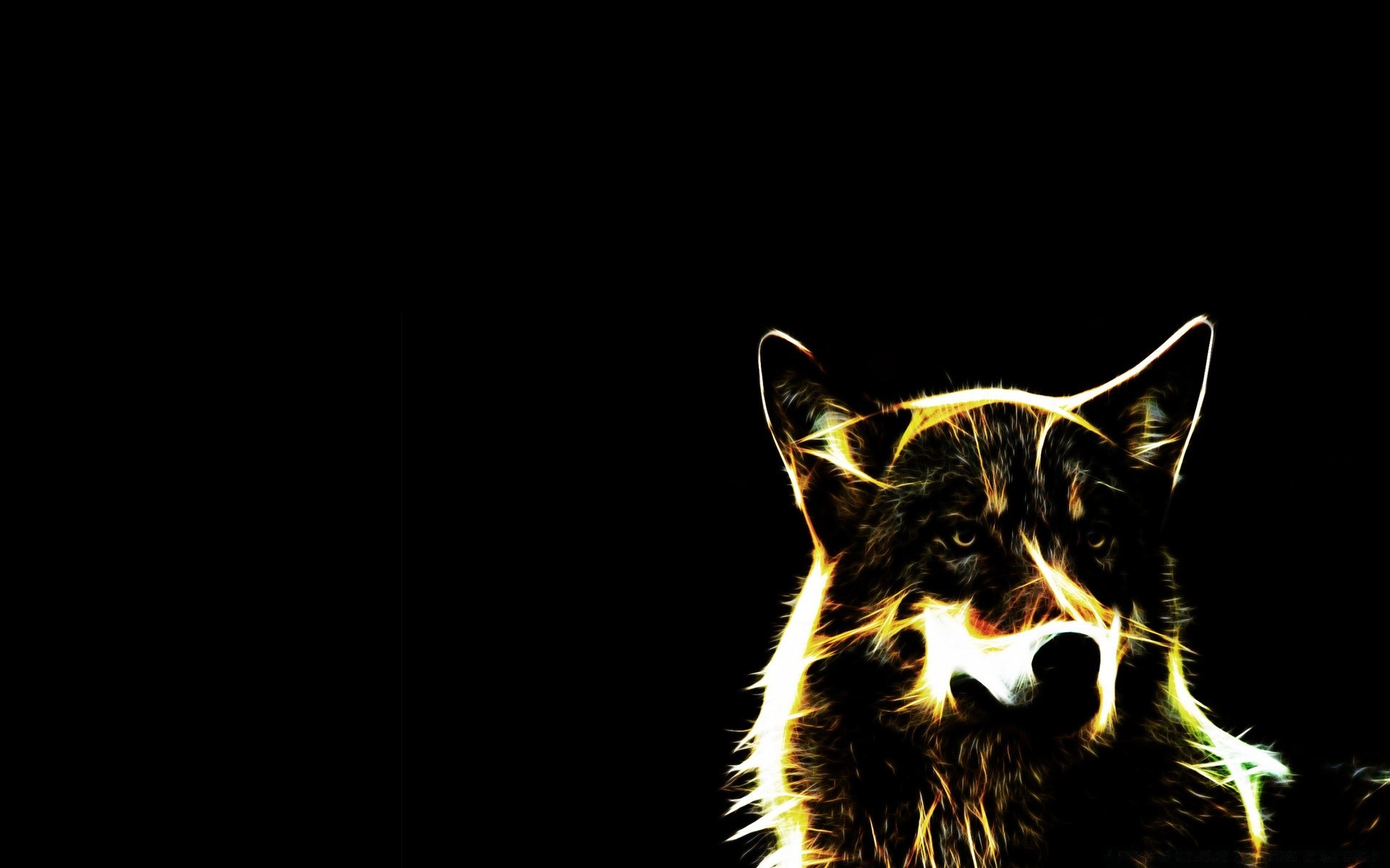 black mammal desktop animal dark cat