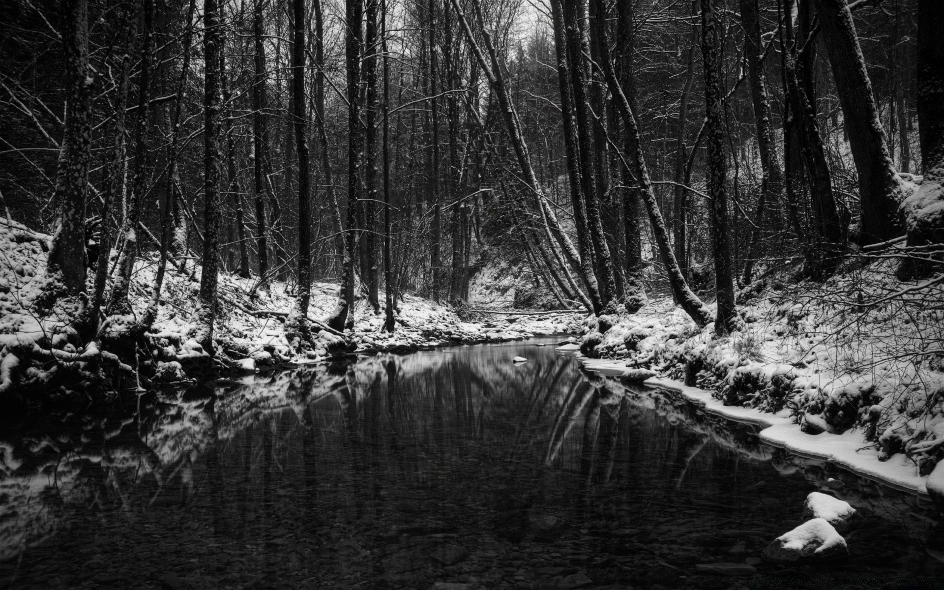 черное древесины дерево река воды пейзаж природа монохромный