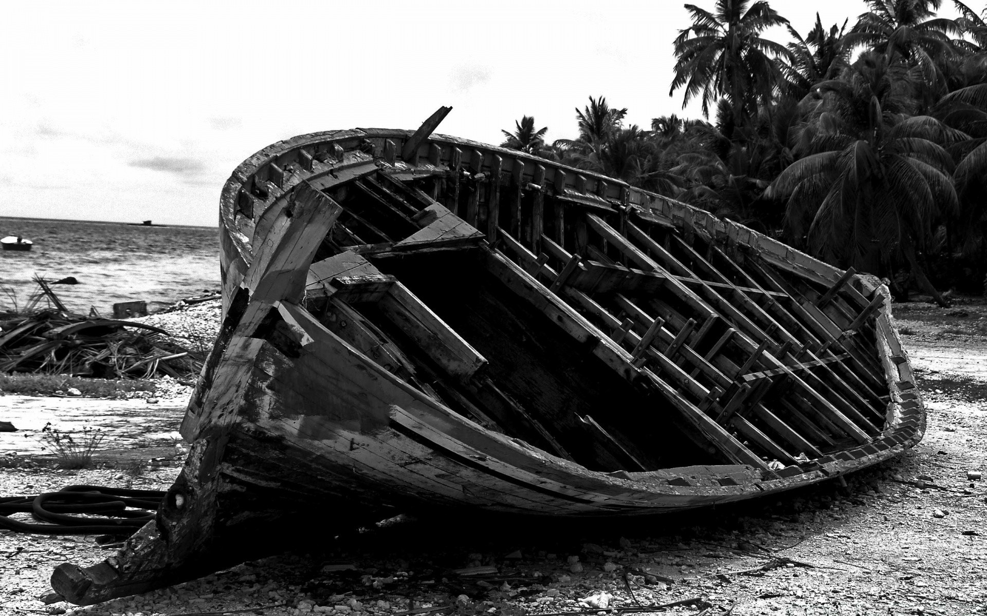 schwarz auto transportsystem wasserfahrzeug boot schiffswrack meer strand wasser meer trümmer schiff ozean verlassen