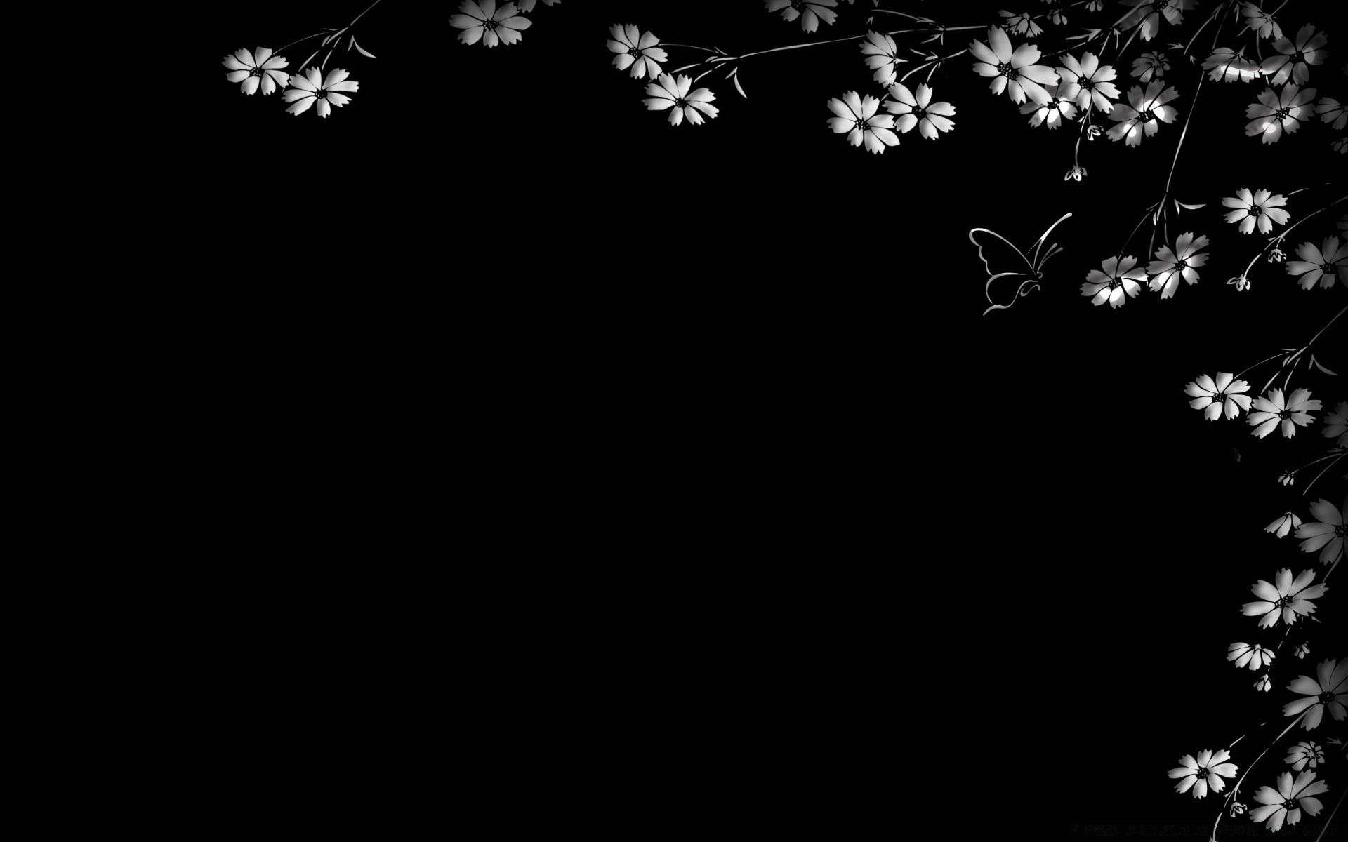 black abstract flower desktop art pattern vector light silhouette illustration graphic nature monochrome design wallpaper moon