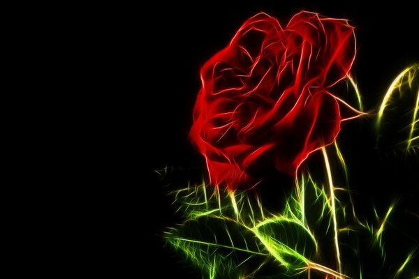 Neon rose on a black background