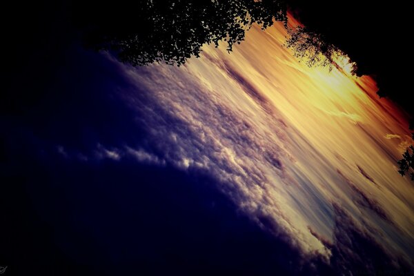 Coucher de soleil sur la plage sous les arbres au bord de la mer