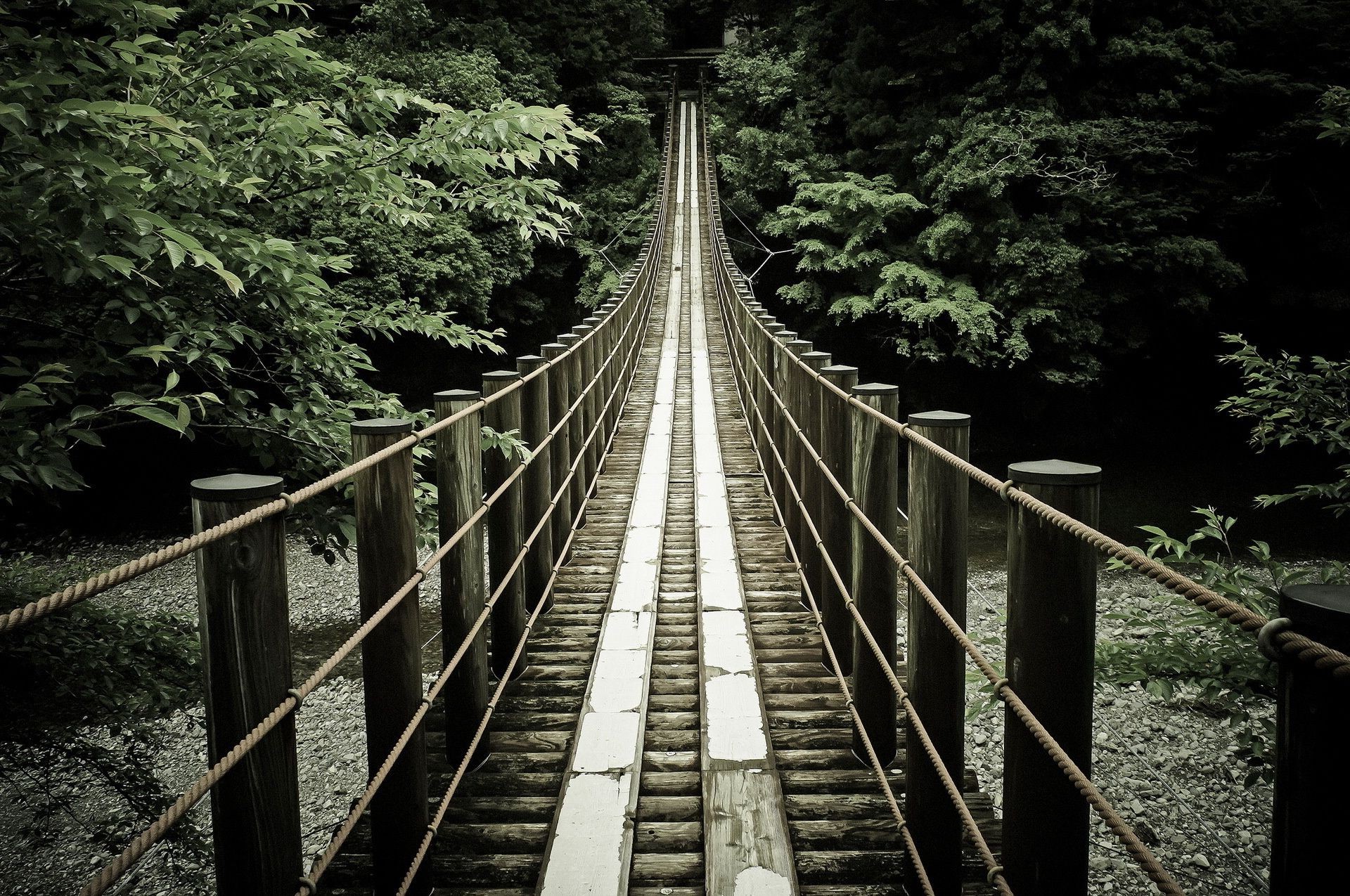 köprüler ahşap köprü ağaç doğa açık havada seyahat rehberlik park yol yaprak tren manzara ışık