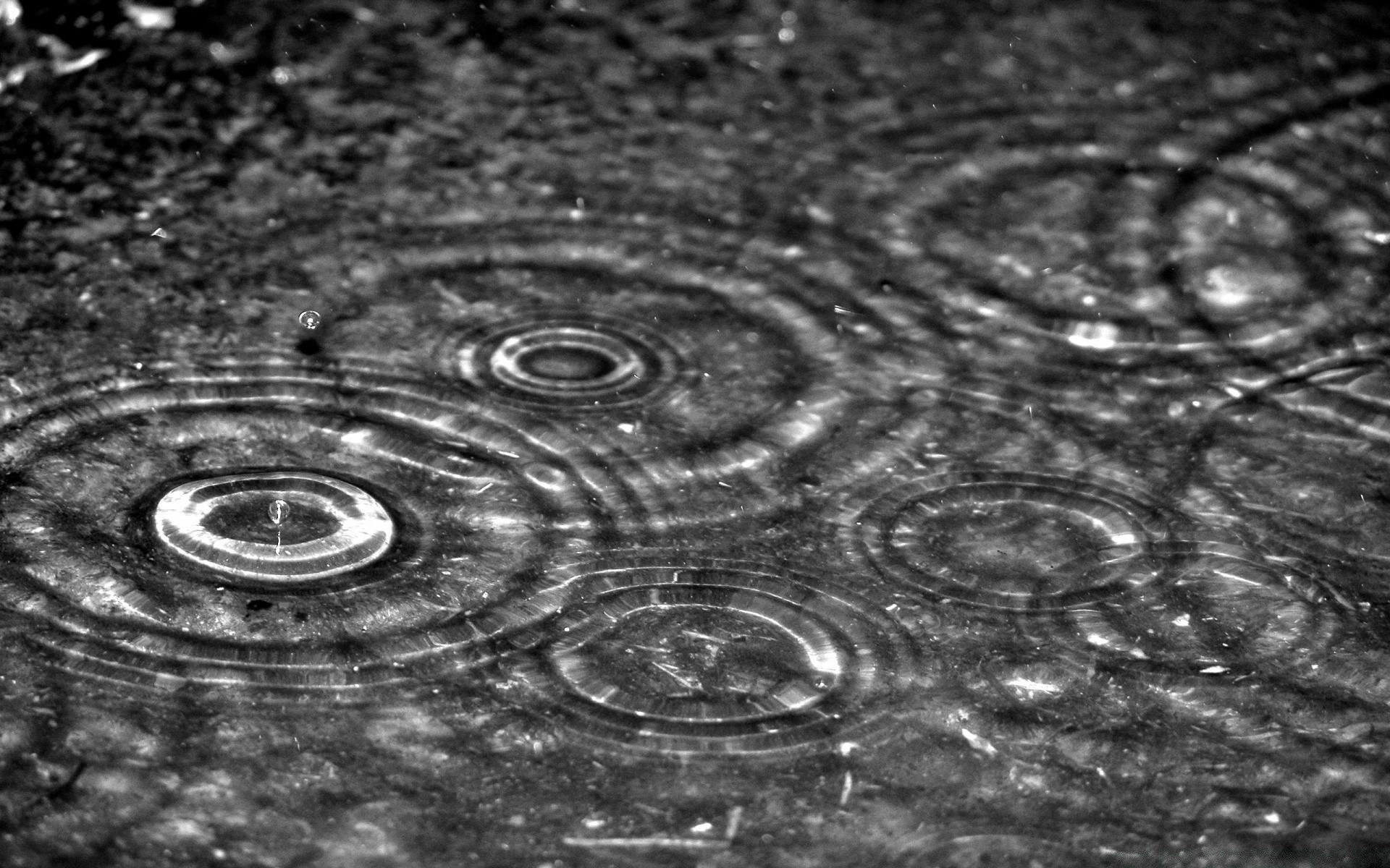 black desktop wet round drop surface liquid abstract rain splash water bubble clean nature texture pattern