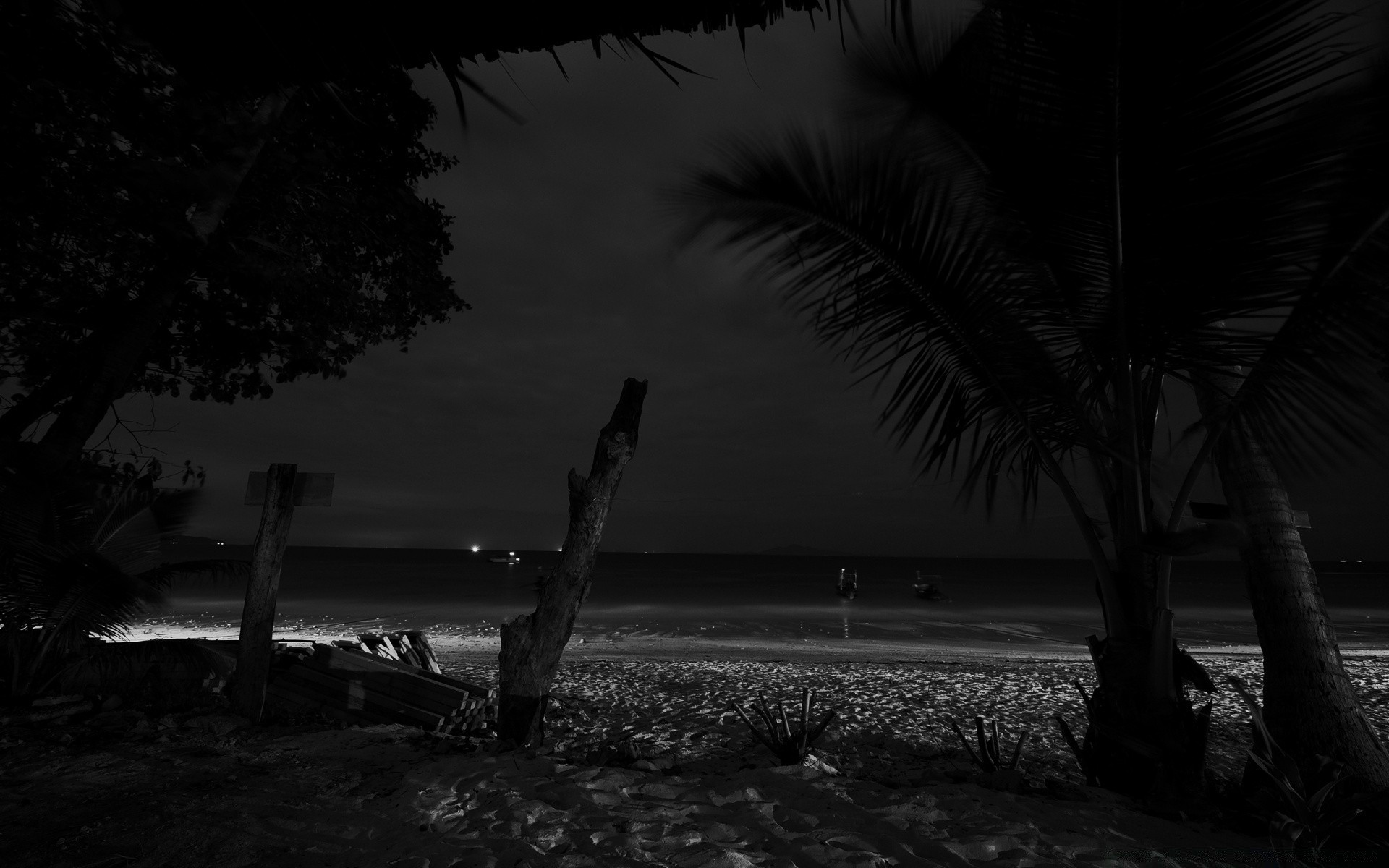 nero spiaggia in bianco e nero acqua tramonto oceano silhouette mare alba ombra albero sera illuminato mare sole paesaggio paesaggio