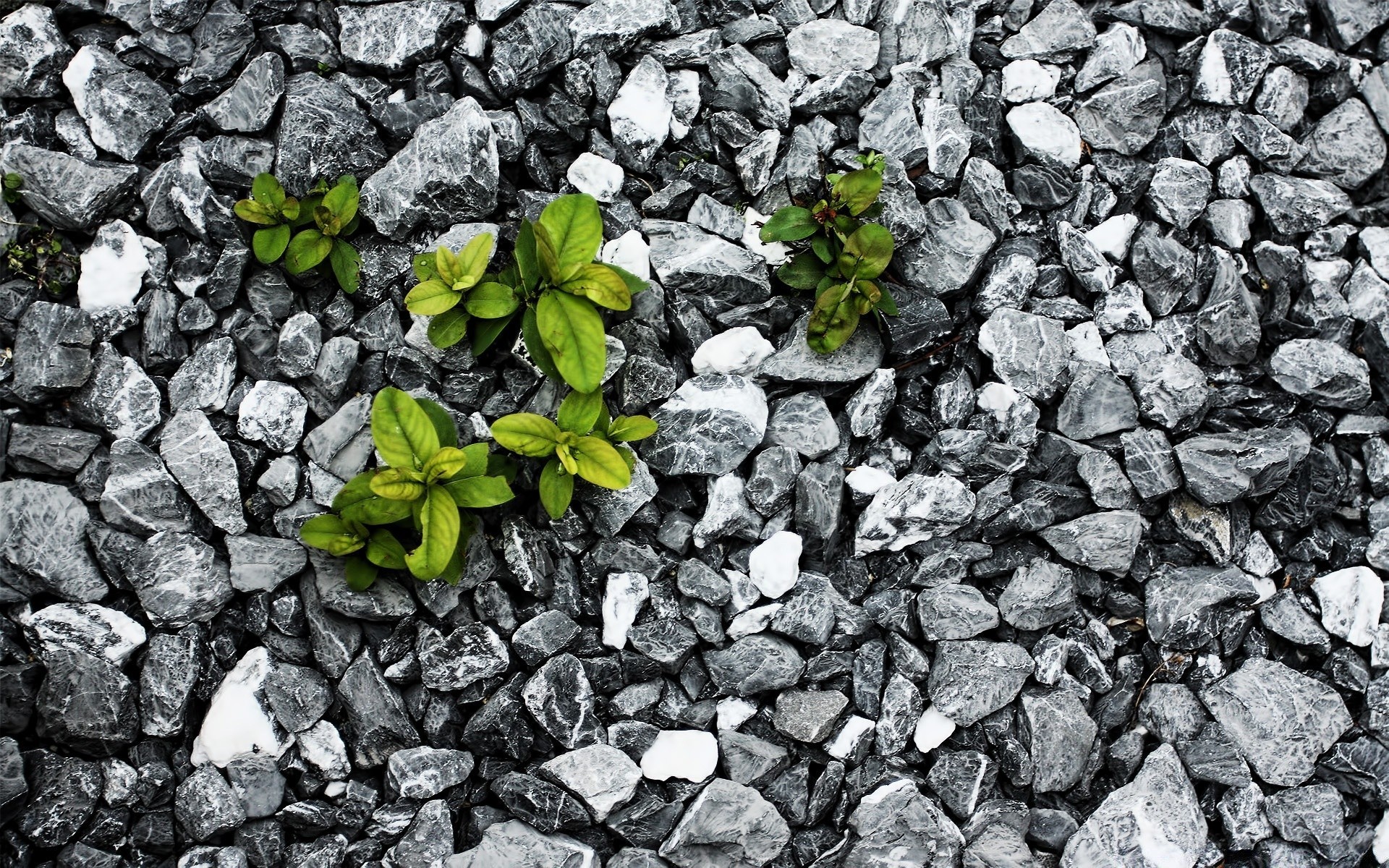 negro piedra roca áspero patrón textura tela superficie grava escritorio granito abstracto adoquines sucio expresión hormigón pared tierra polvo pavimento piso