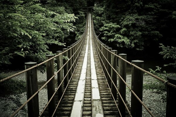 Wooden bridge on the road to life