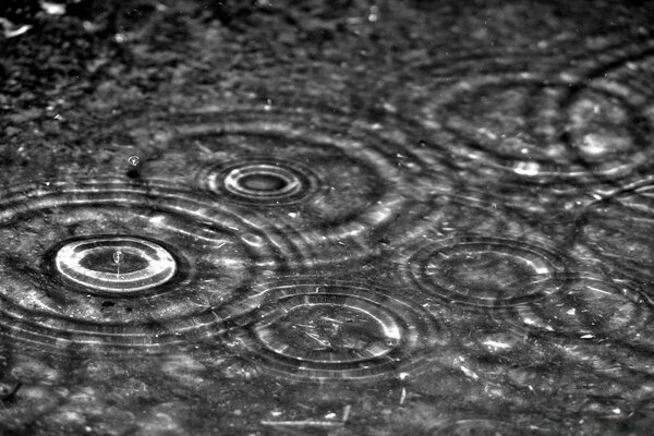 Rainy black and white day