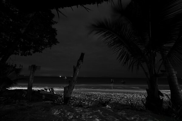 Night shot of the sea coast