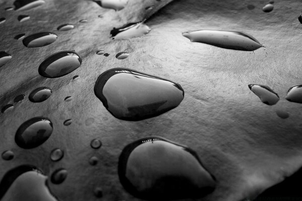 Gotas de lluvia en una piedra fría