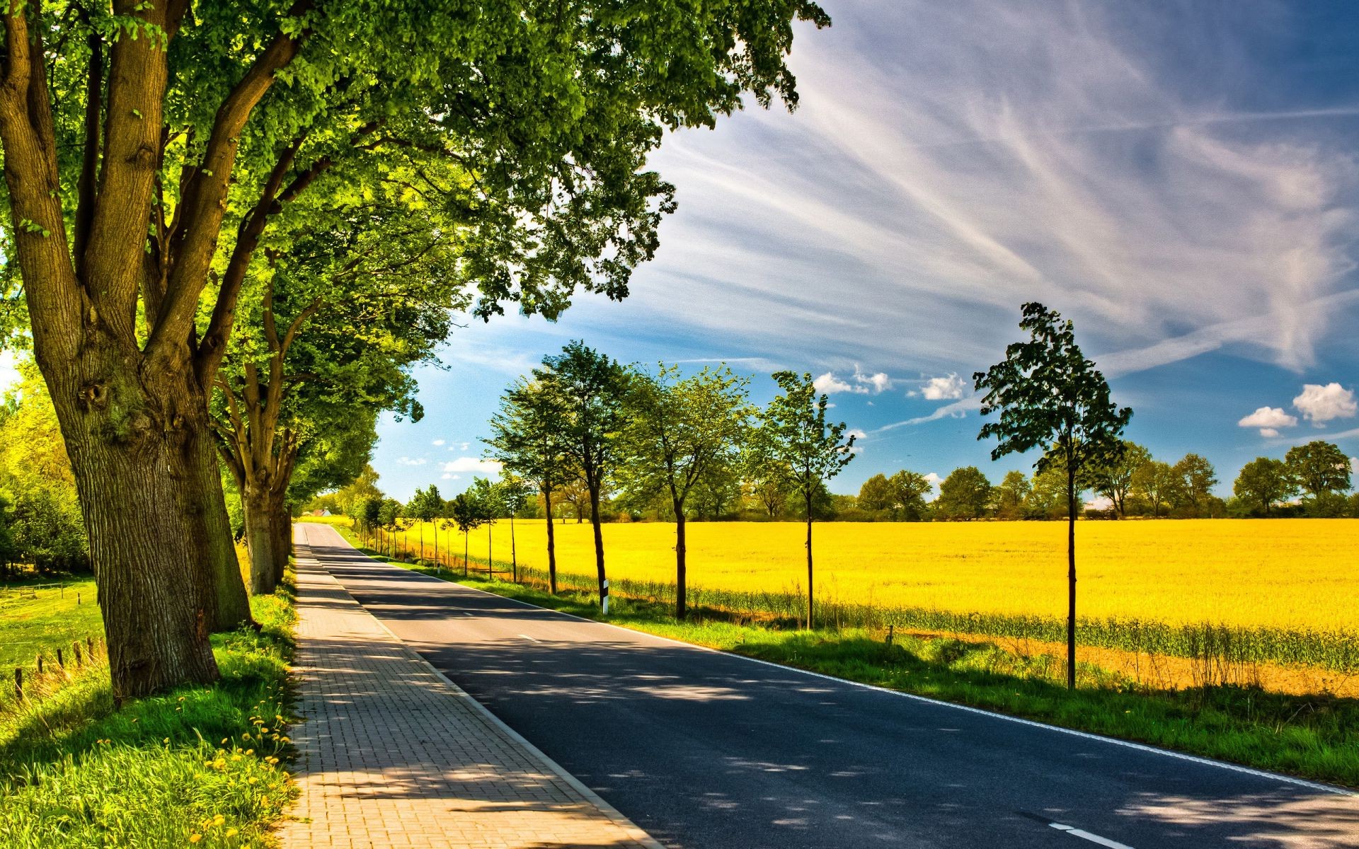 carretera paisaje rural árbol naturaleza campo hierba guía al aire libre hoja verano buen tiempo madera sol perspectiva brillante pintoresco país