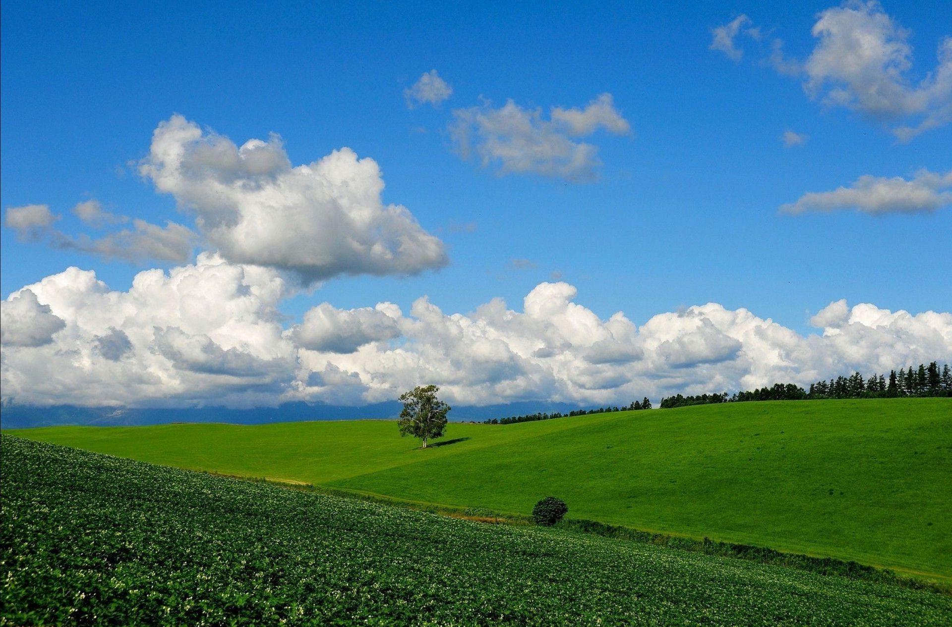 lato wiejskie pole krajobraz trawa tereny wiejskie pastwisko rolnictwo gospodarstwo natura niebo sianokosy gleba pola uprawne chmura dobra pogoda kraj horyzont słońce