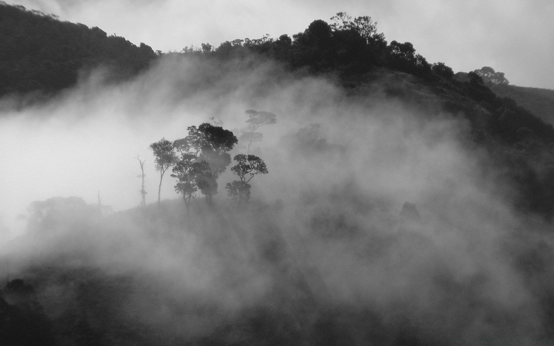 noir paysage brouillard tempête monochrome brouillard ciel météo montagnes arbre pluie fumée nuage catastrophe silhouette lumière coucher de soleil aube plage nature