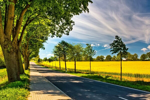 Paesaggio rurale alberi e strada