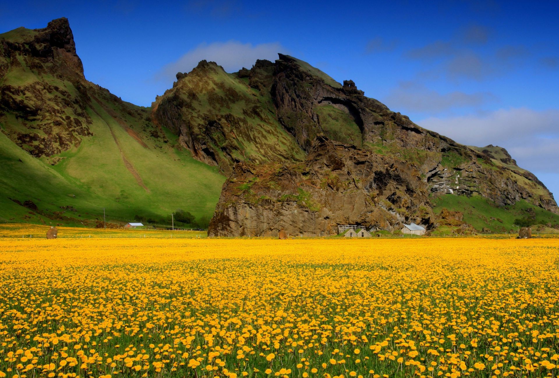 montagnes paysage ciel nature voyage à l extérieur montagnes été herbe champ scénique fleur agriculture