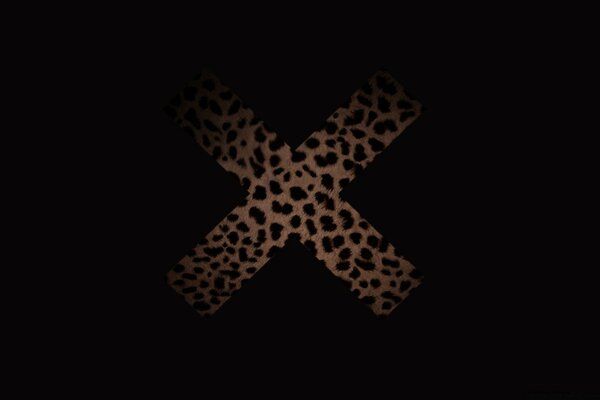 Leopard cross on a black picture