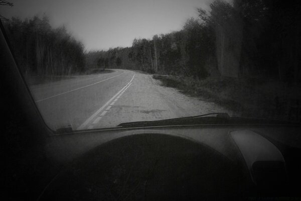 Landscape from a car on the road