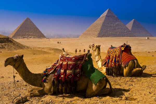 Landscape of famous places Egyptian pyramids