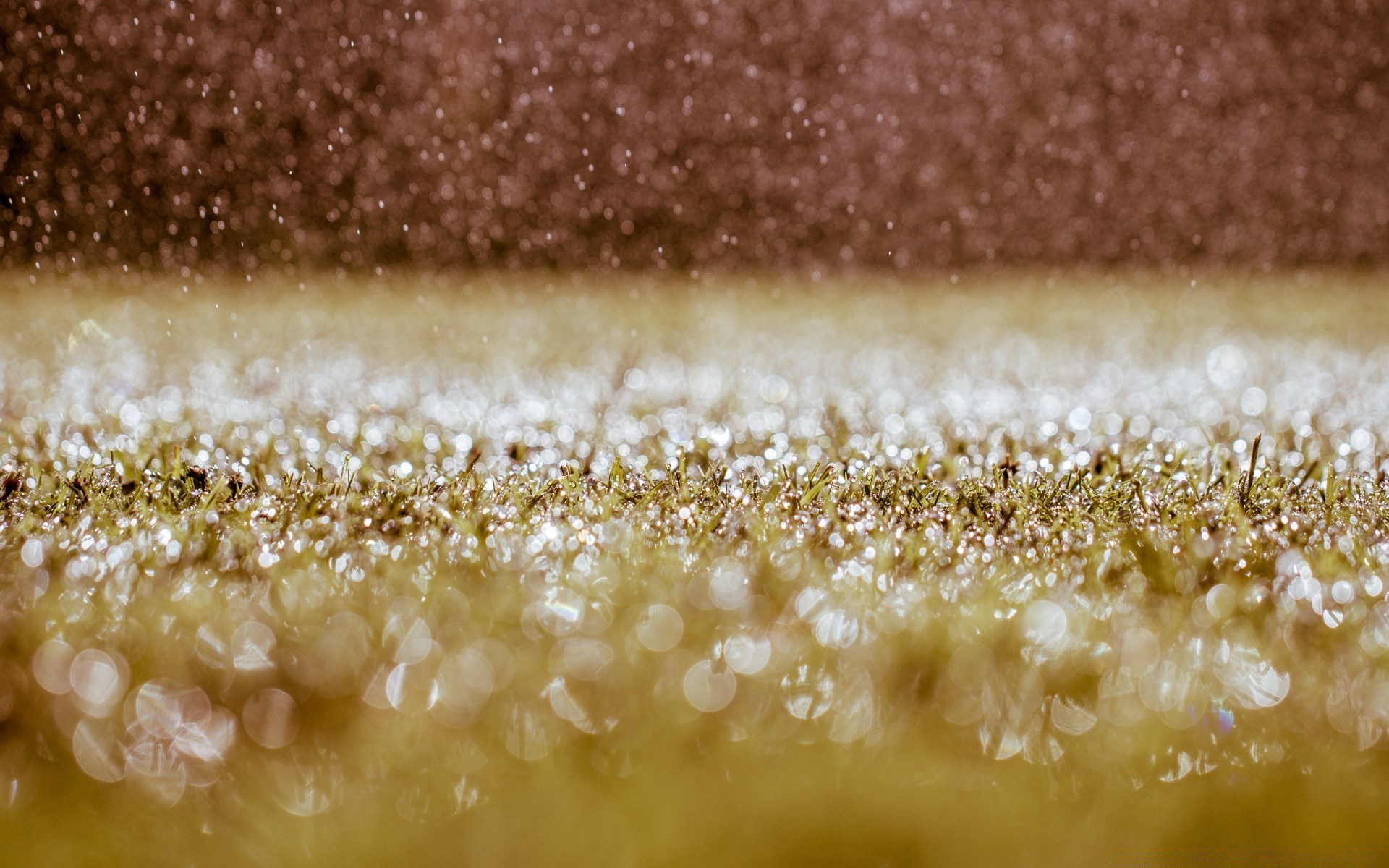 bokeh área de trabalho comida textura abstrato cor chuva ouro close-up gota natureza luz vidro