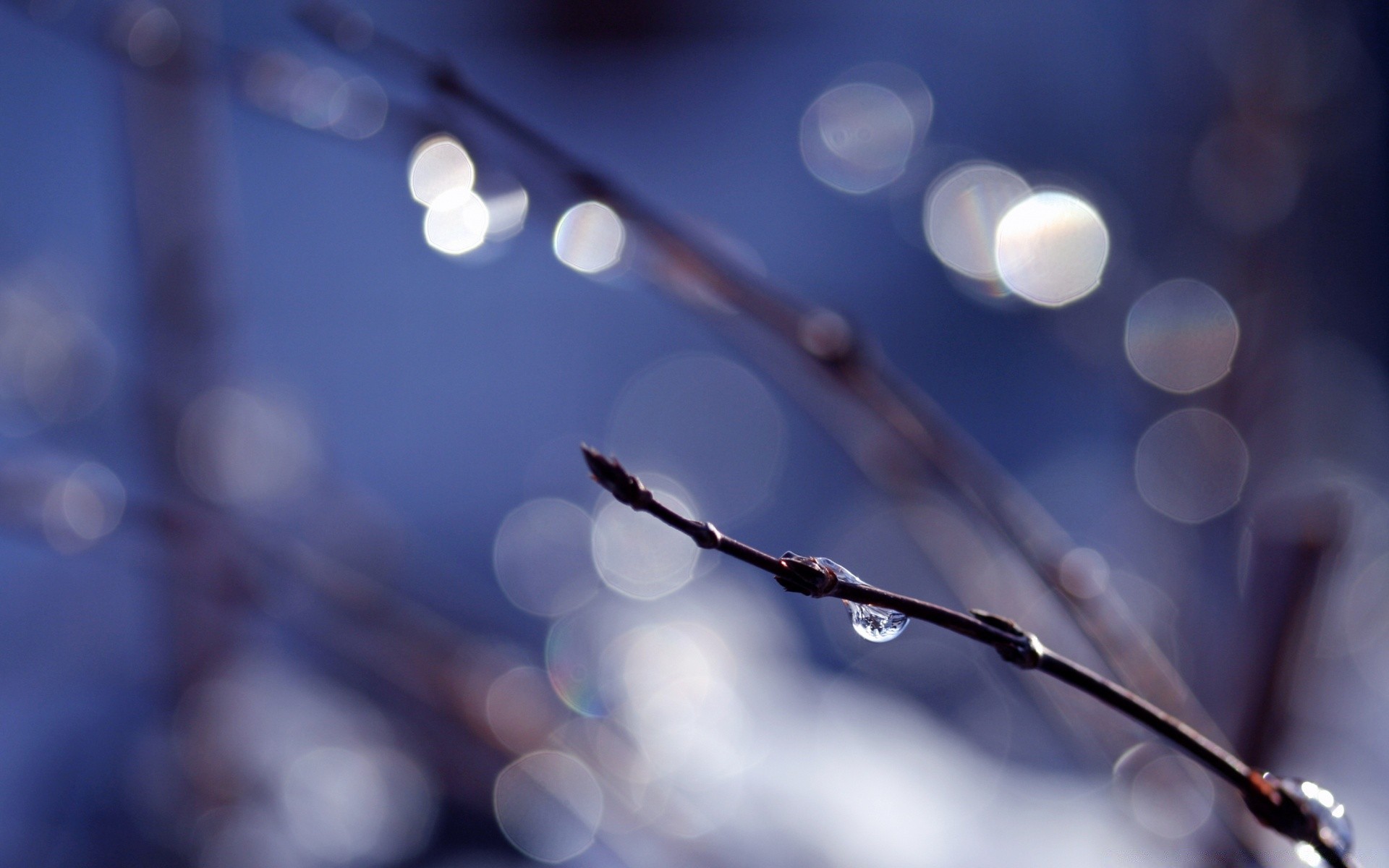 bokeh borrão foco cor desktop inverno abstrato natal luz dof brilhante