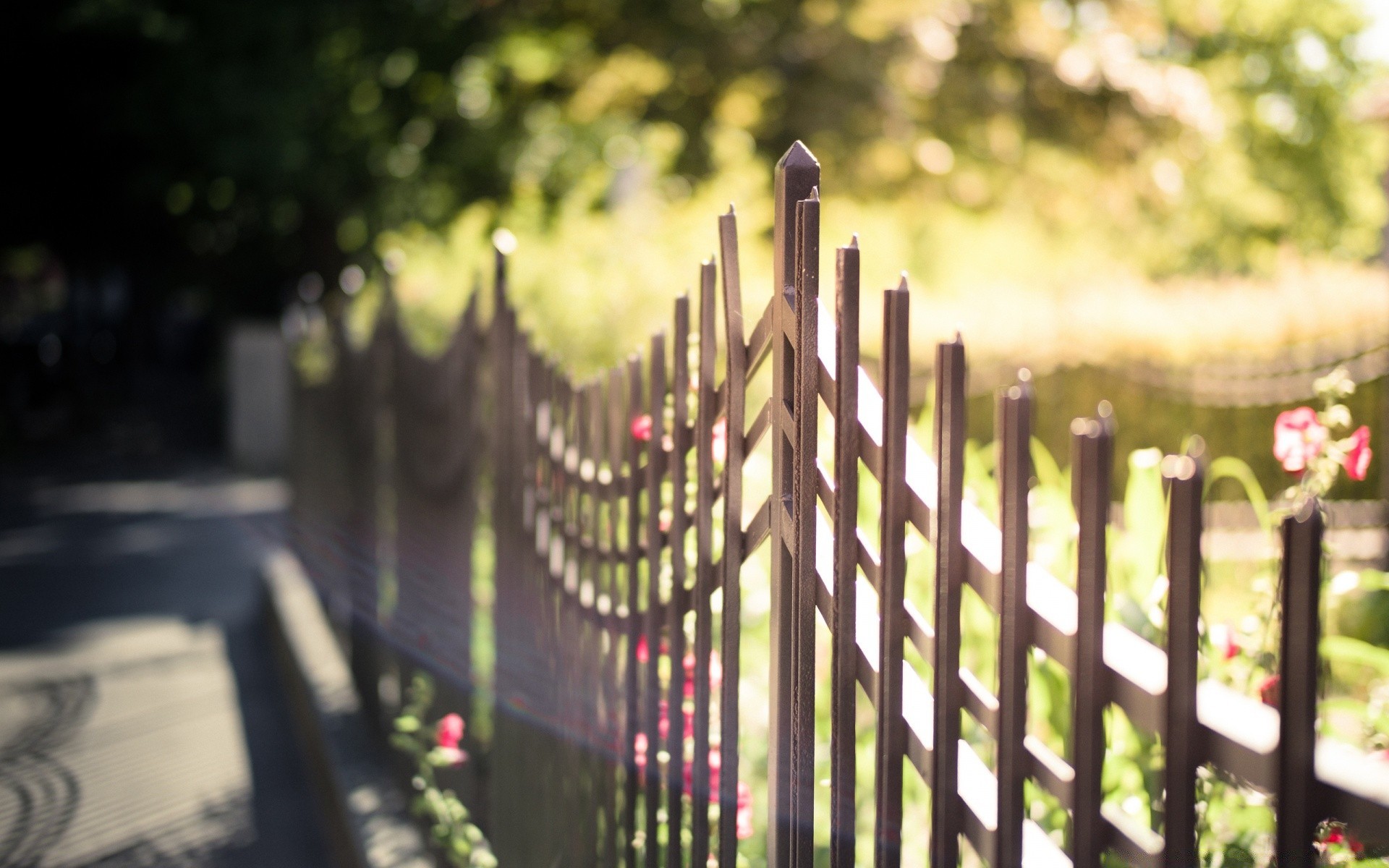 bokeh fence outdoors cemetery wood garden nature travel architecture flower landscape light tree