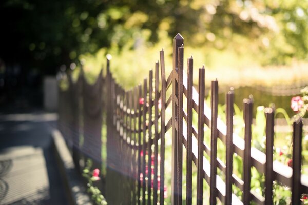 Sommerlicht der Sonne entlang des Zauns