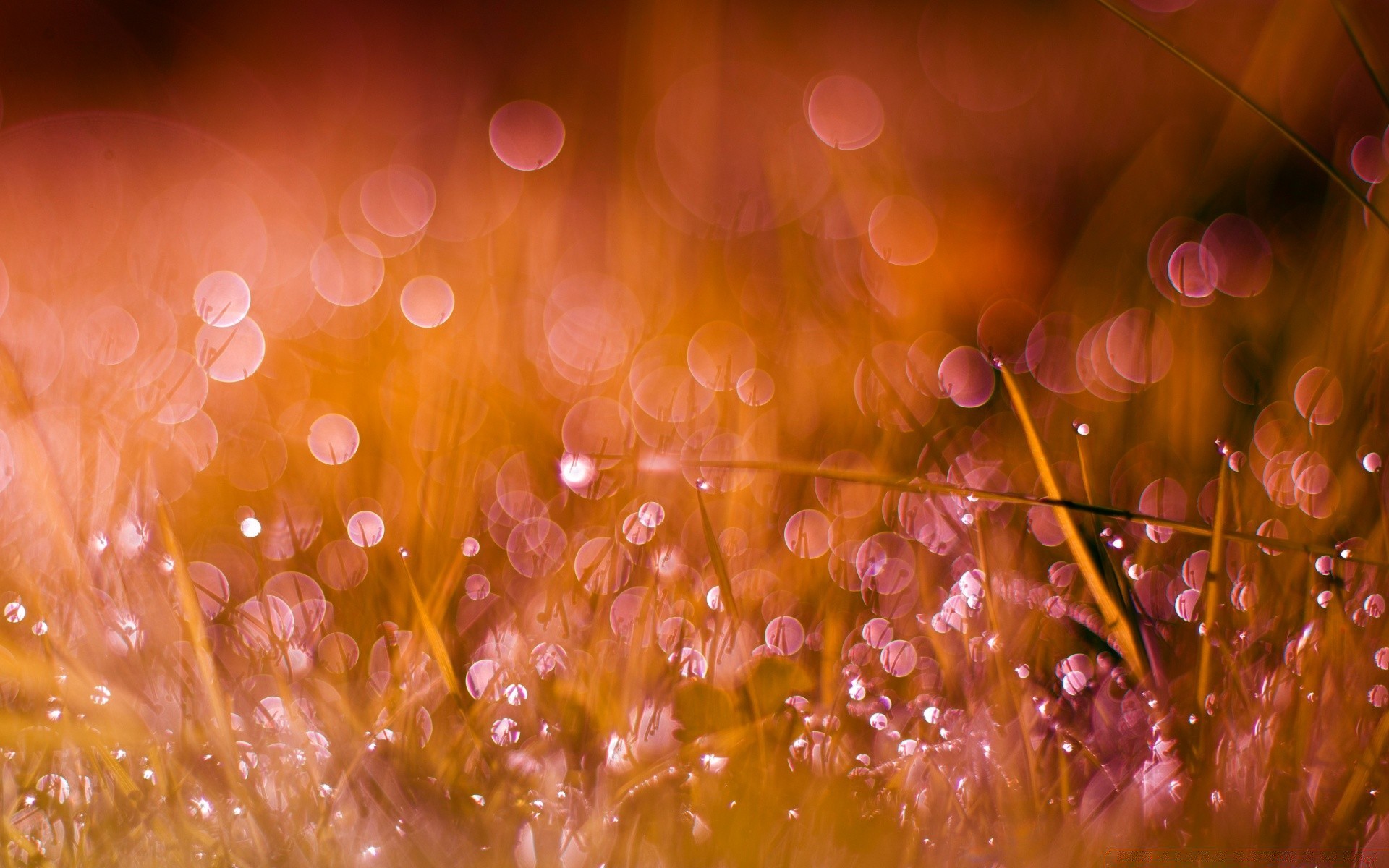 bokeh kolor pulpit jasny streszczenie luminescencja światło tekstura rozmycie boże narodzenie świeci magia natura błyszczą