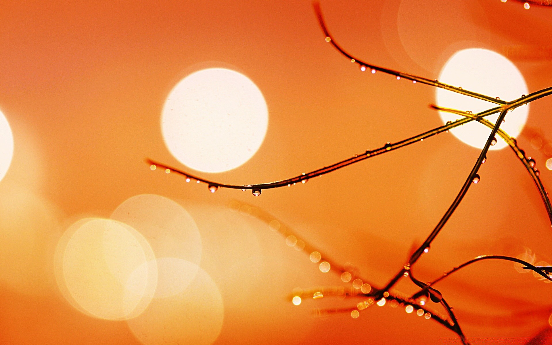 bokeh hell unschärfe abstrakt weihnachten desktop farbe licht sonne