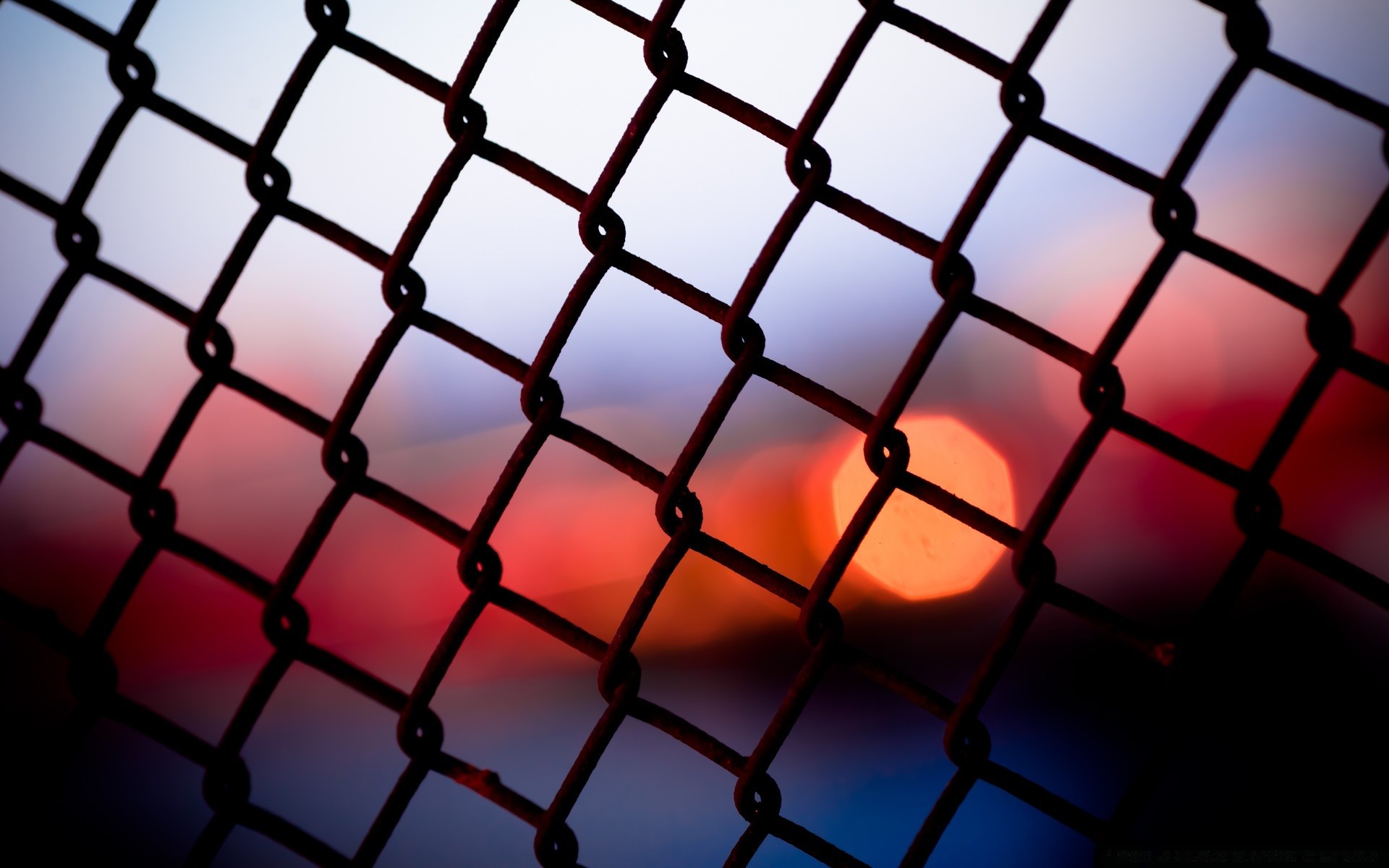 bokeh cage web grille résumé net fer clôture bureau fil acier texture modèle prison