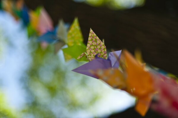 Bright leaves on a blurry background