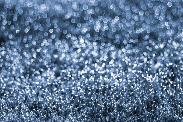 Shiny water drops on the grass in gray tones on a blurry background on